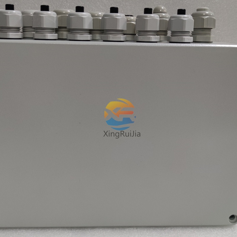 ABB PFEA113-65 3BSE028144R0065 | Digital Input Module | AC 800M | CHINA XIAMEN XINGRUIJIA3